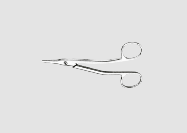 Walter Cottle Nasal Scissors for Surgical Needs