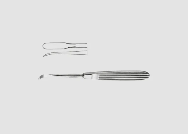Daniel Gubisch Raspatory - Curved
