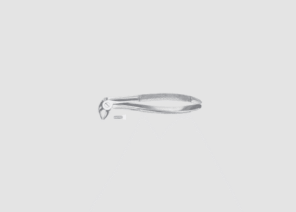 13 Lower Premolars Forcep