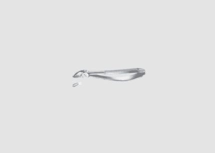 17 Upper Molars Right Forcep