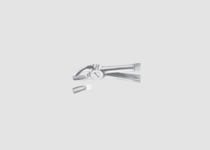 7 Upper Premolars Forcep